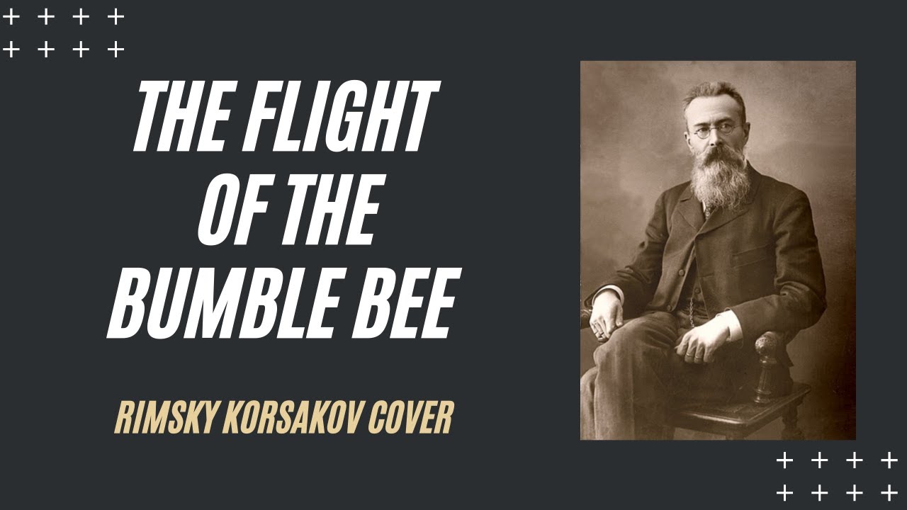 The Flight of the Bumble Bee by Luis moreno