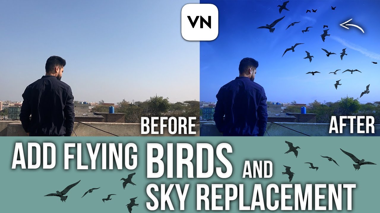How To Add Flying Birds in Video | VN video Editor Tutorial  | Vn Tutorial | Vn Editor