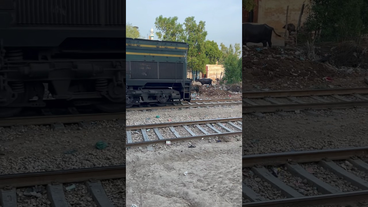 #yekiaHowa #RailFunny #PakistanFunny #silentFuny #PunjabiFunny #FamousFunny #ShortsFunny #TiktokVide