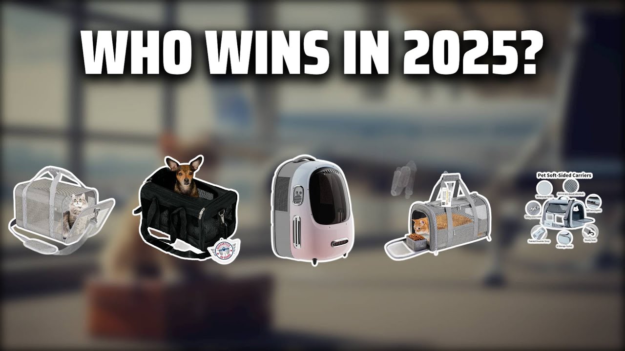 The Top 5 Best Cat Carrier in 2025 - Must Watch Before Buying!