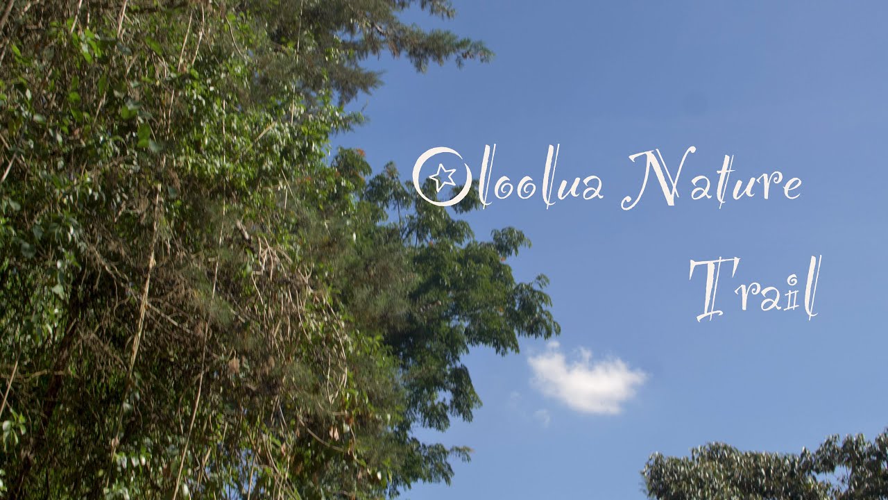 Welcome to Oloolua Nature Trail