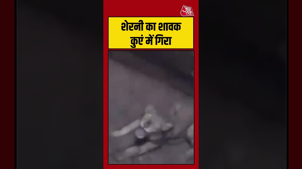 शेरनी का शावक कुएं में गिरा  #lion #junagadh #viralvideo #shorts #gujarat