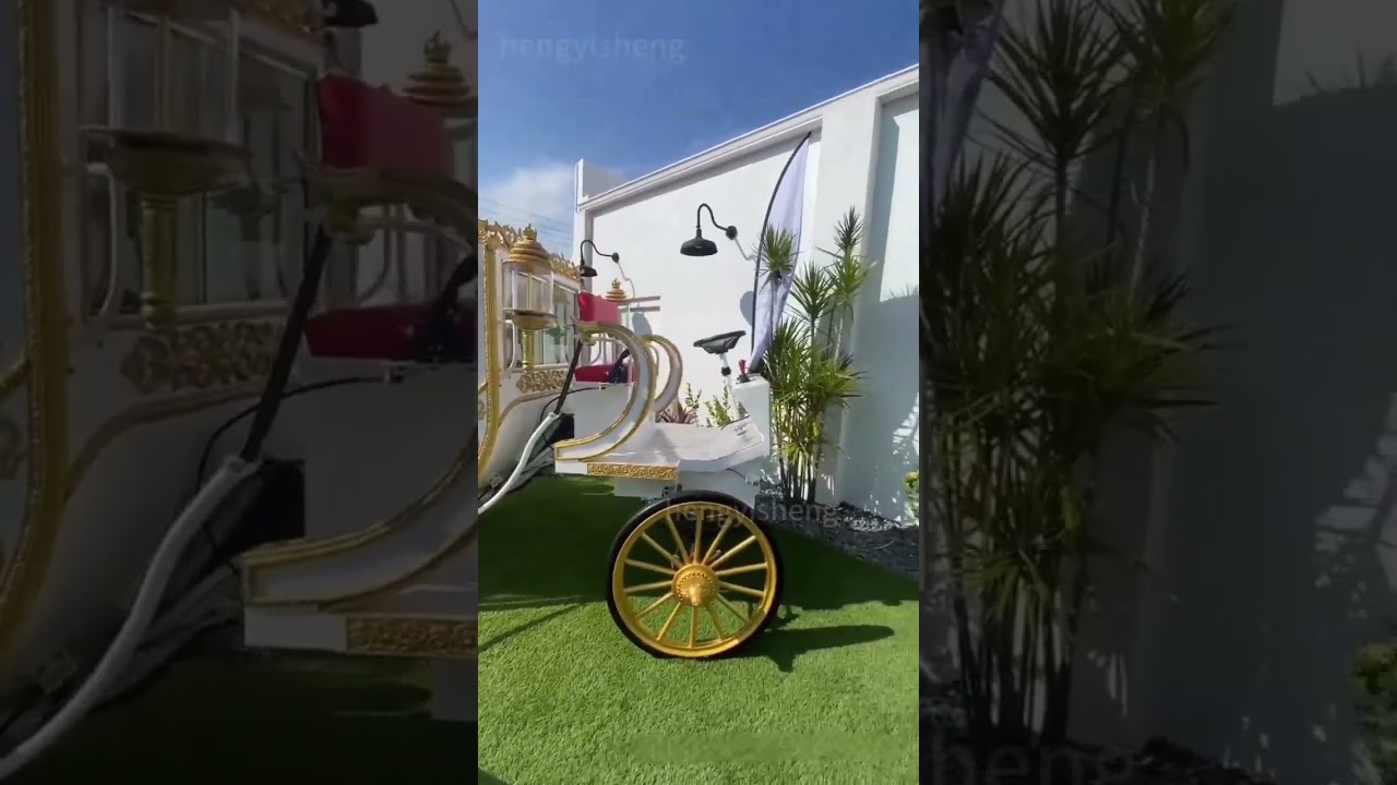 Wow,Romantic bride princess carriage for sale