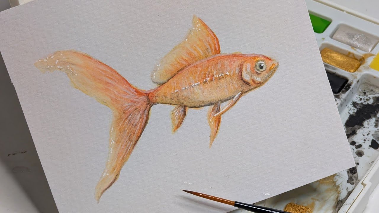 Aprende a pintar un pez con acuarela (GOLDFISH), Técnica: ACUARELA, nivel: AVANZADO