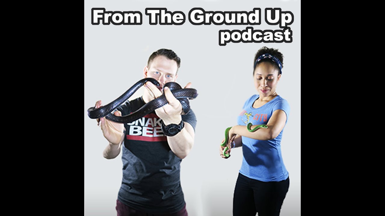 Future of Port City Pythons - From the Ground Up Reptile Podcast