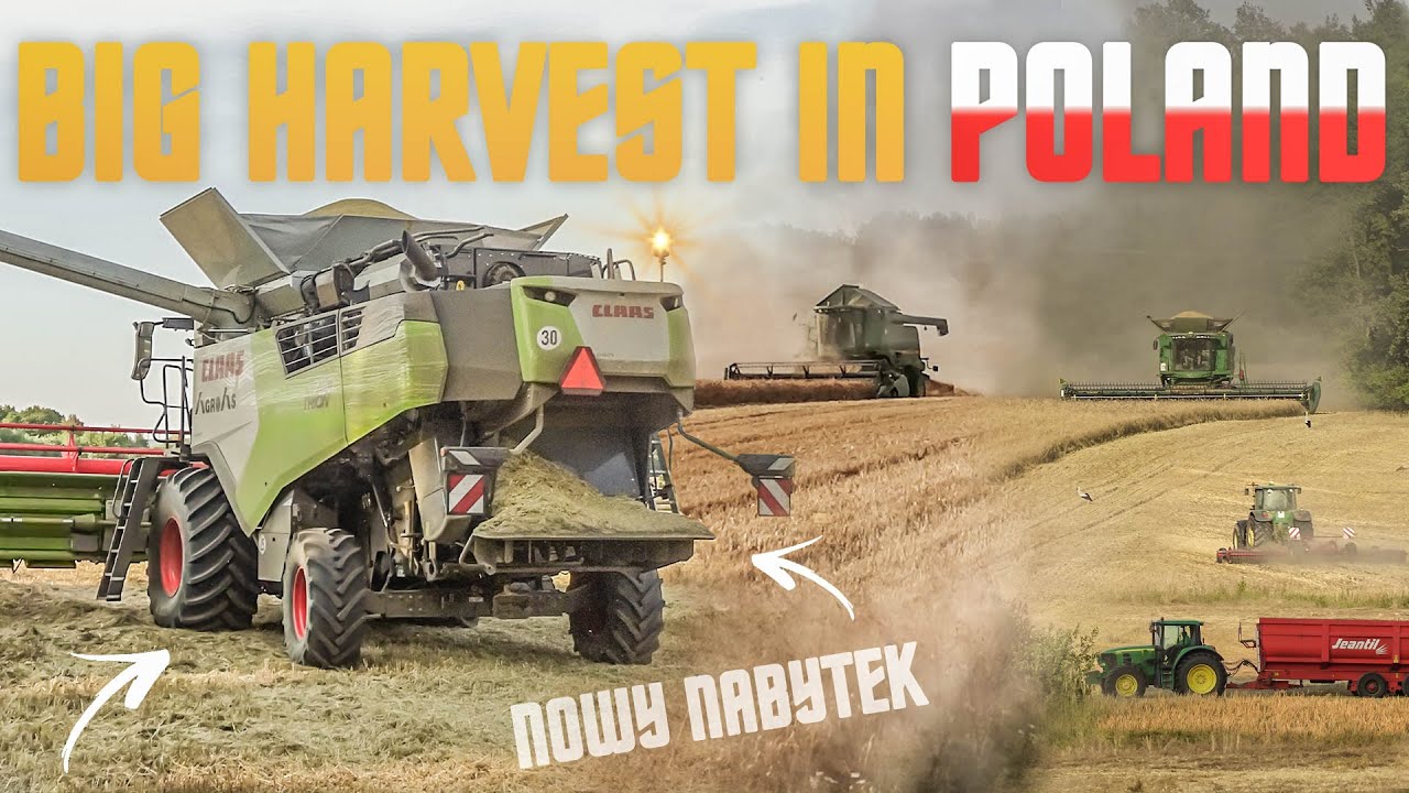 🇵🇱Wielkie Żniwa Jęczmienia 2023㋛︎BIG Harvest In Poland㋛︎Nowy Claas Trion 720㋛︎6x John Deere,Ursus㋛︎