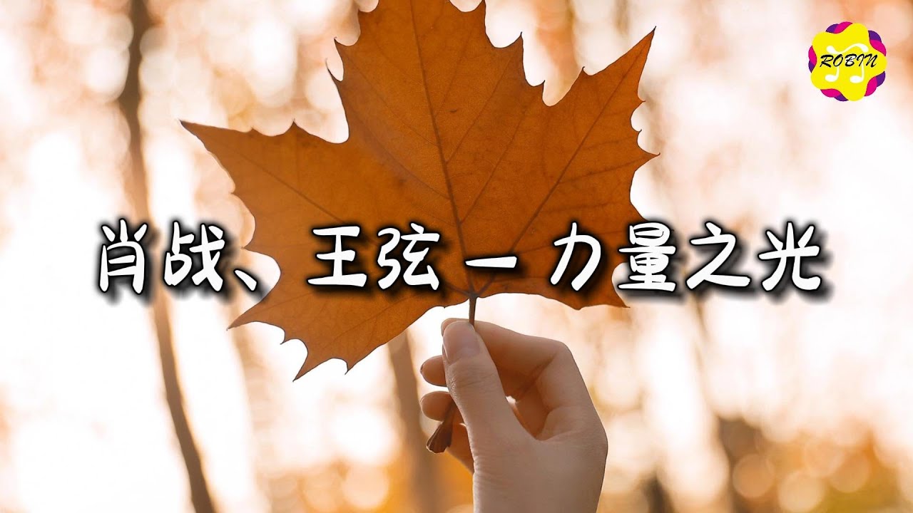 肖战/王弦  - 力量之光 『是不忘初心的坚毅，是乘风破浪的飞翔。』【动态歌词MV】