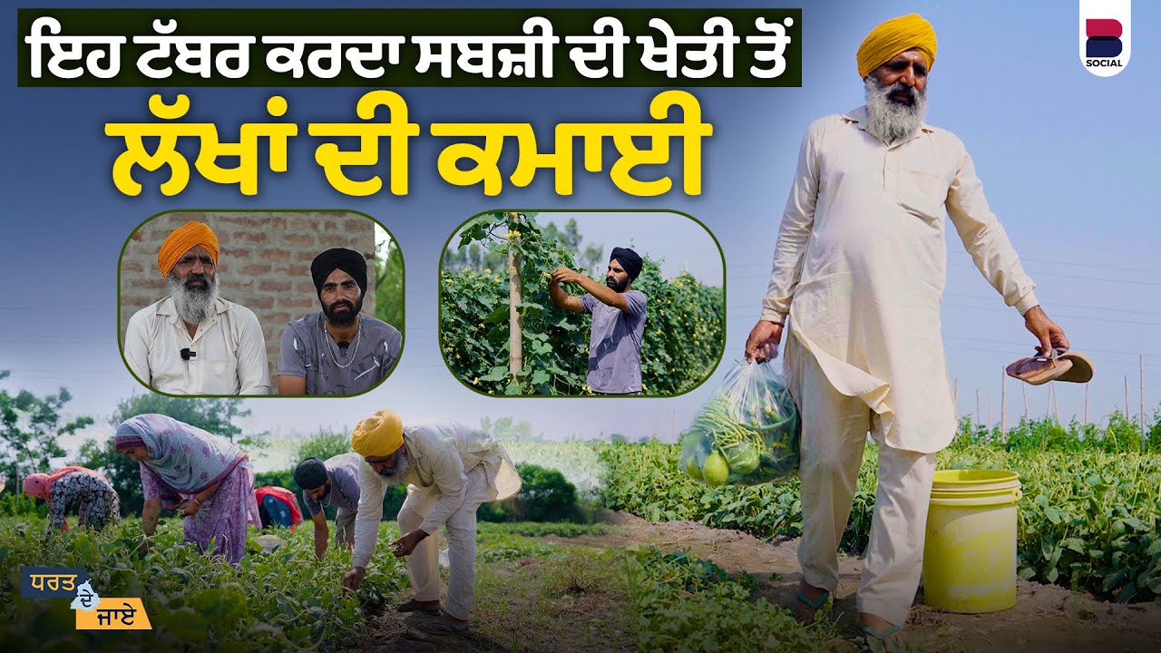 ਇਹ ਟੱਬਰ ਕਰਦਾ ਸਬਜ਼ੀ ਦੀ ਖੇਤੀ ਤੋਂ ਲੱਖਾਂ ਦੀ ਕਮਾਈ | Dharat De Jaye | Manpreet Ramanwas | B Social