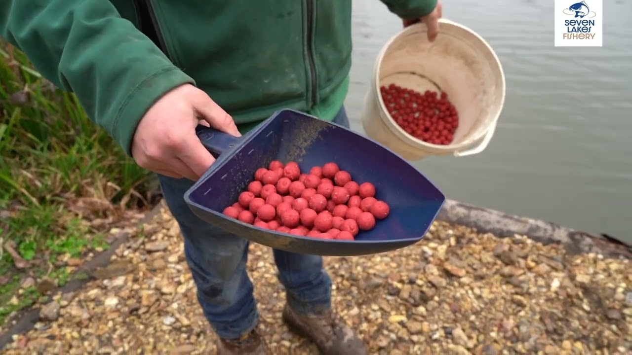 Update from Seven Lakes Fishery on Ash dieback and current closure