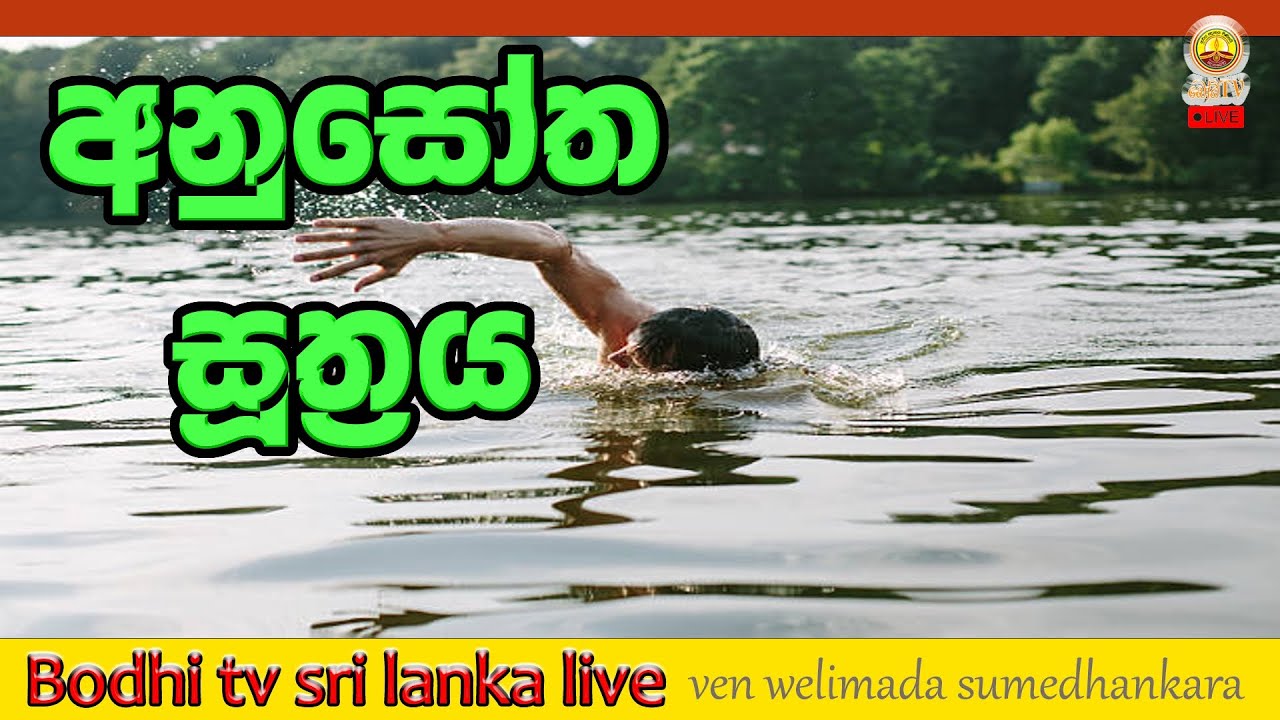 අනුසෝත සූත්‍රය - දවස පුරා සිහියෙන් ඉන්න.. අවබෝධාත්මක ධර්මදේශනා ශ්‍රවණය කරමු.