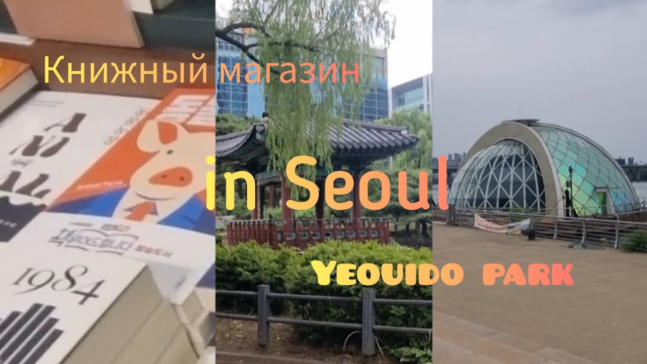 Южная Корея 2023. Книжный магазин. Маленький принц. Цветы Лотоса. Yeouido park. Seoul. River Han.