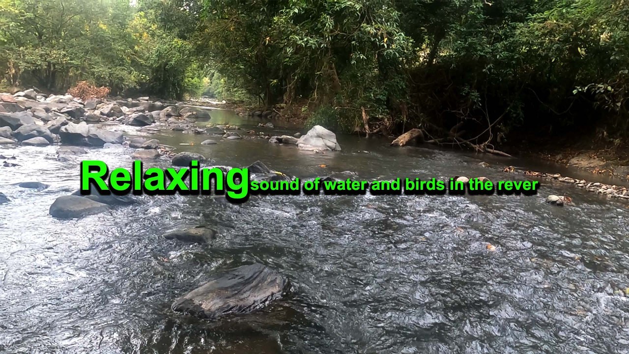 RELAKSASI SUARA AIR MENGALIR  & SUARA BURUNG