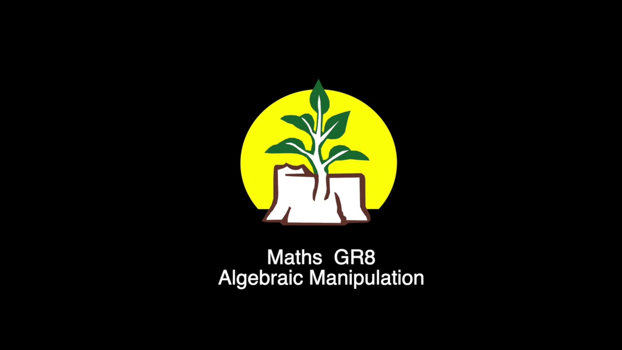 Mathematics Grade 8, Algebraic Manipulation