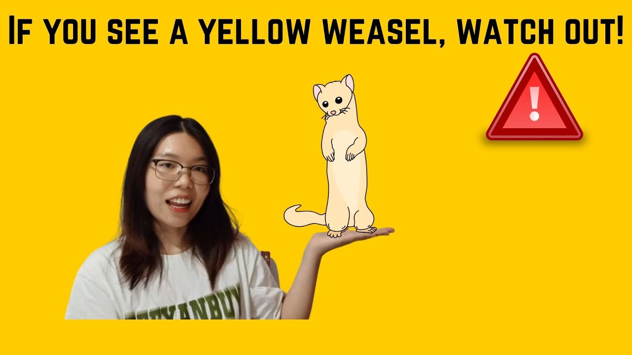 the story of yellow weasels | intermediate Chinese | comprehensible input