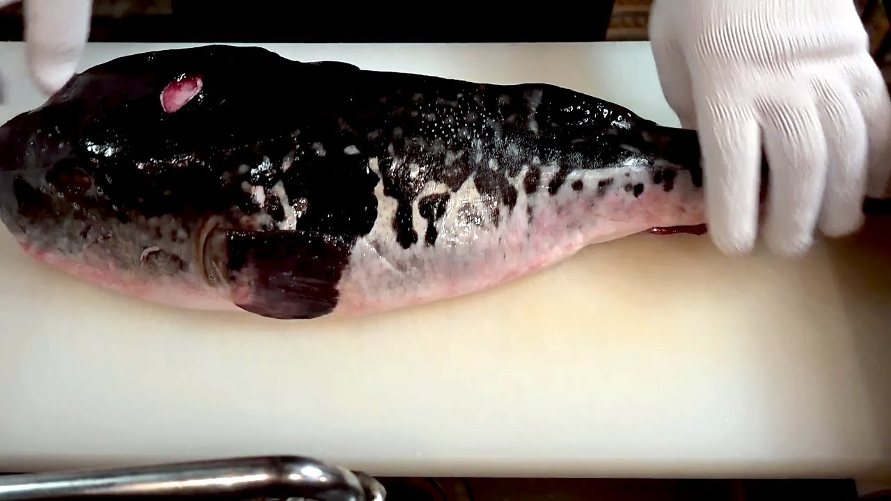 Japanese Chef Skills - the Deadly Poisonous 