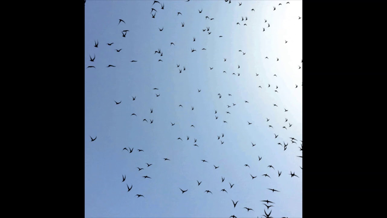 mac miller - avian (slowed + reverbed)