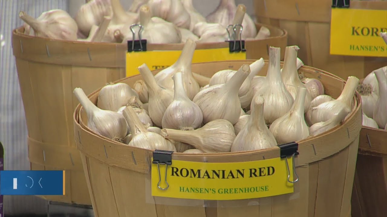 New Day Cleveland: Cleveland Garlic Fest