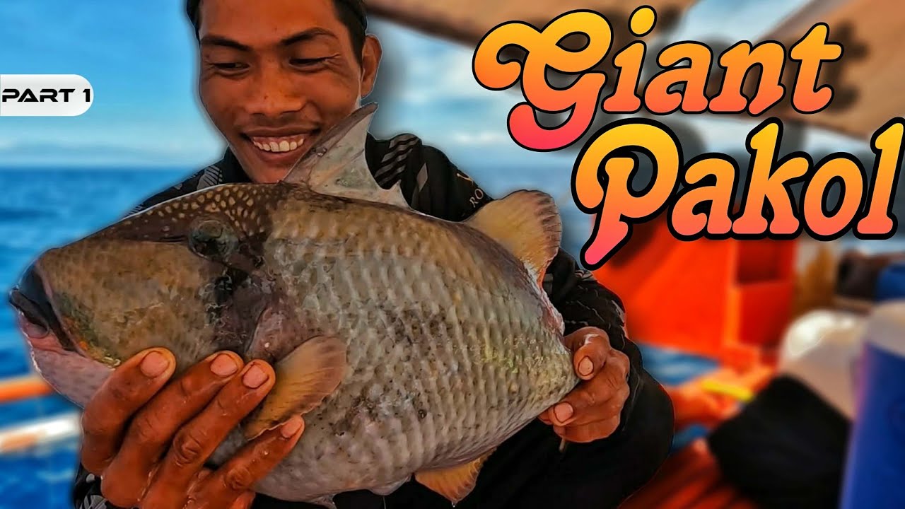 P1 - Buya to Handline Fishing