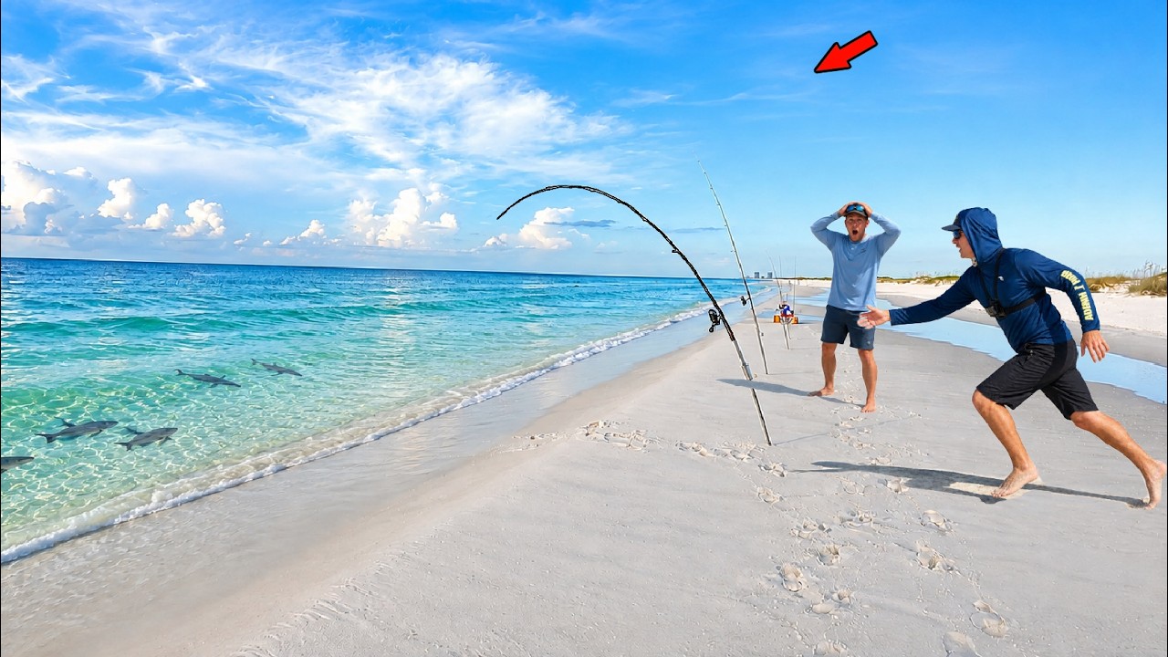 This was the Biggest Beach Monster of The Year!