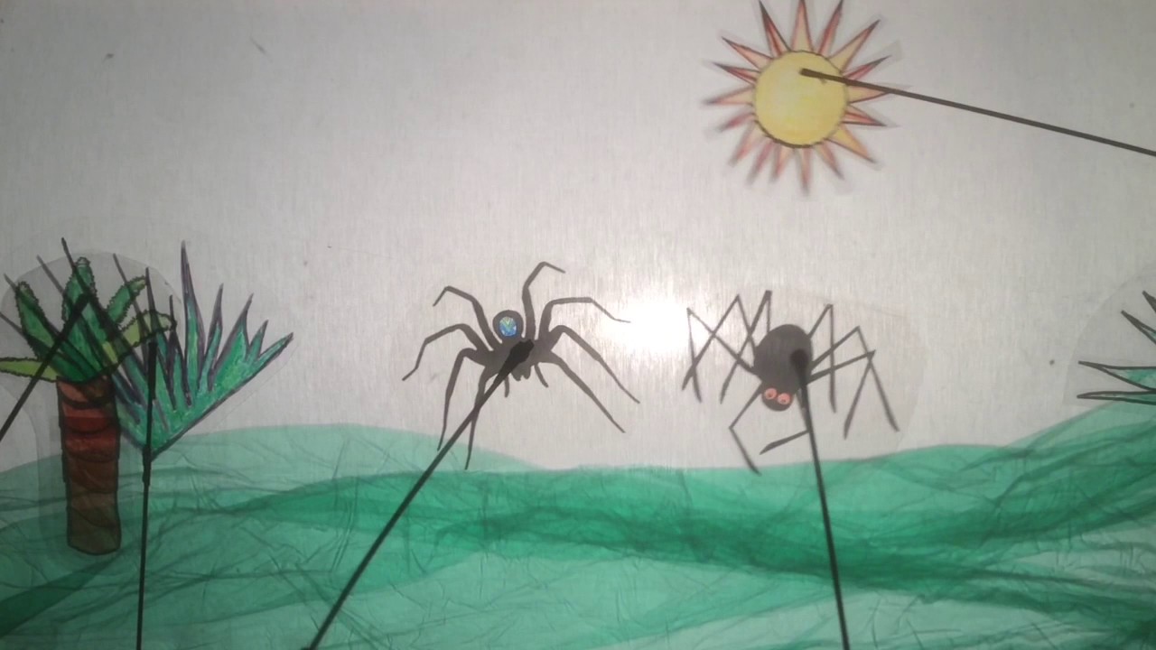Anansi the Spider and His Six Sons