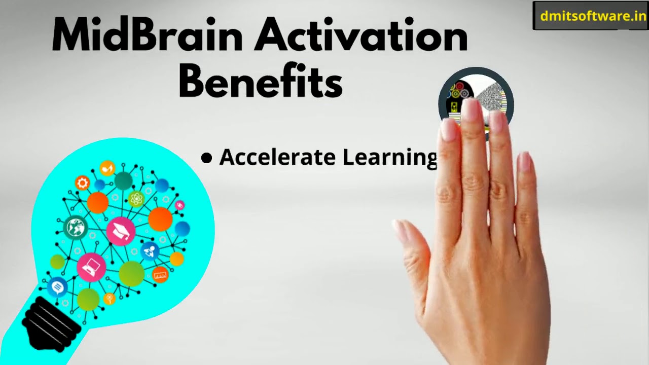 DMIT | DMIT Test | DMIT Training | DMIT Software | DMIT Franchise | MidBrain Activation
