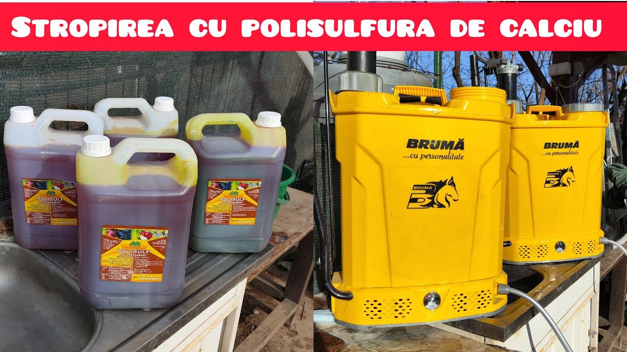 Stropirea cu polisulfura de calciu la pomii fructiferi 🍎🫐🍐🍏