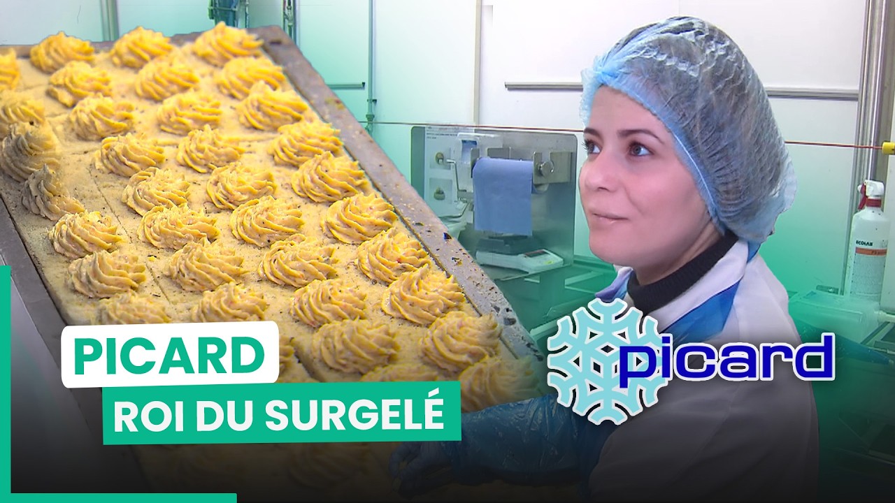 Picard : d'où viennent ces stars du congélateur ?  | 750GTV