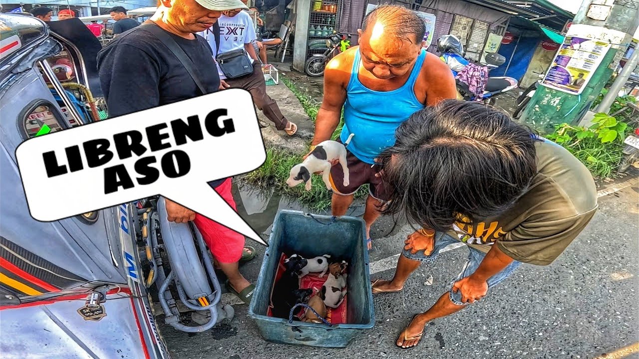 EKSENA SA BALIWAG JUNE 25, 2025 | PET TIANGGE
