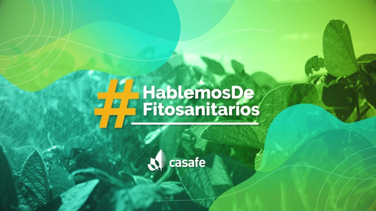 &iquest;Qu&eacute; son los productos fitosanitarios?