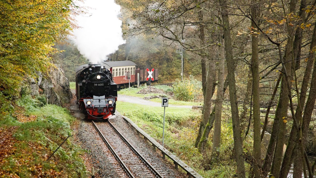 Herbstdampf auf der Selketalbahn - 99 6001 im unteren Selketal und Wellbachtal