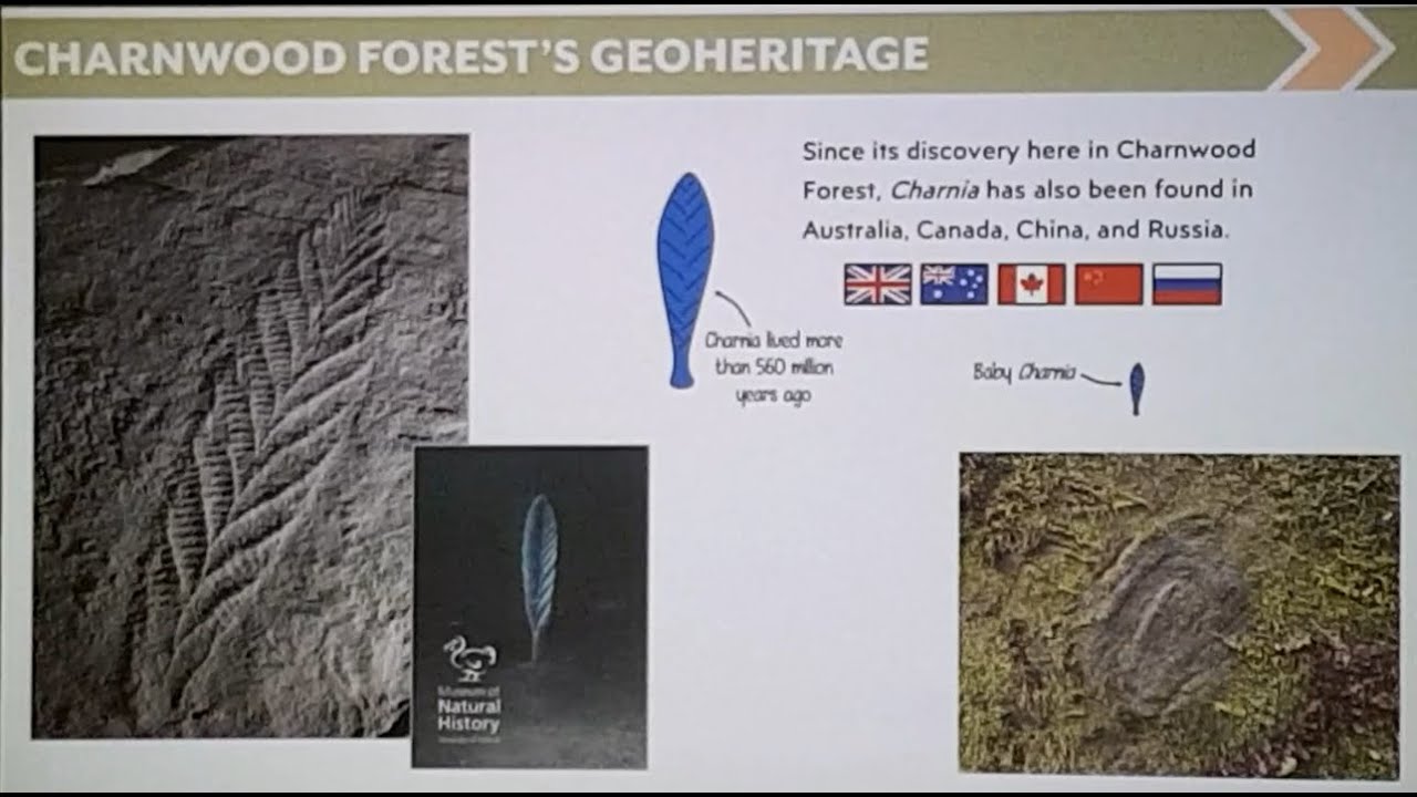 Celebrating the Origins of Animal Life: Building a UNESCO Global Geopark in Charnwood Forest, UK