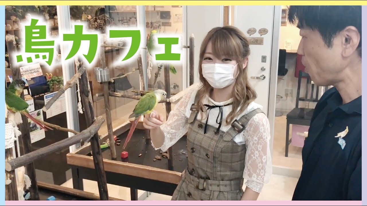心斎橋の鳥カフェに行ってきた！