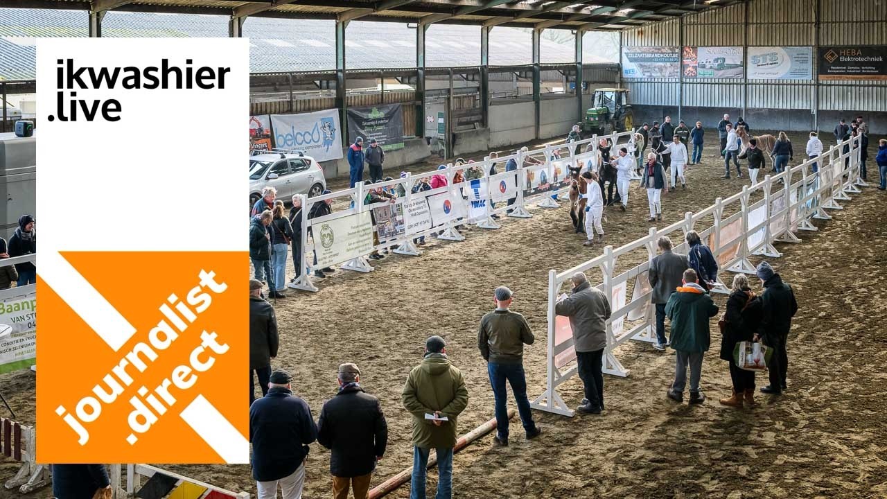 Belgisch trekpaard Oda van 't Hof te Moerzeke op 9e Veulenprijskamp van VOT met Andreas Van Geyte