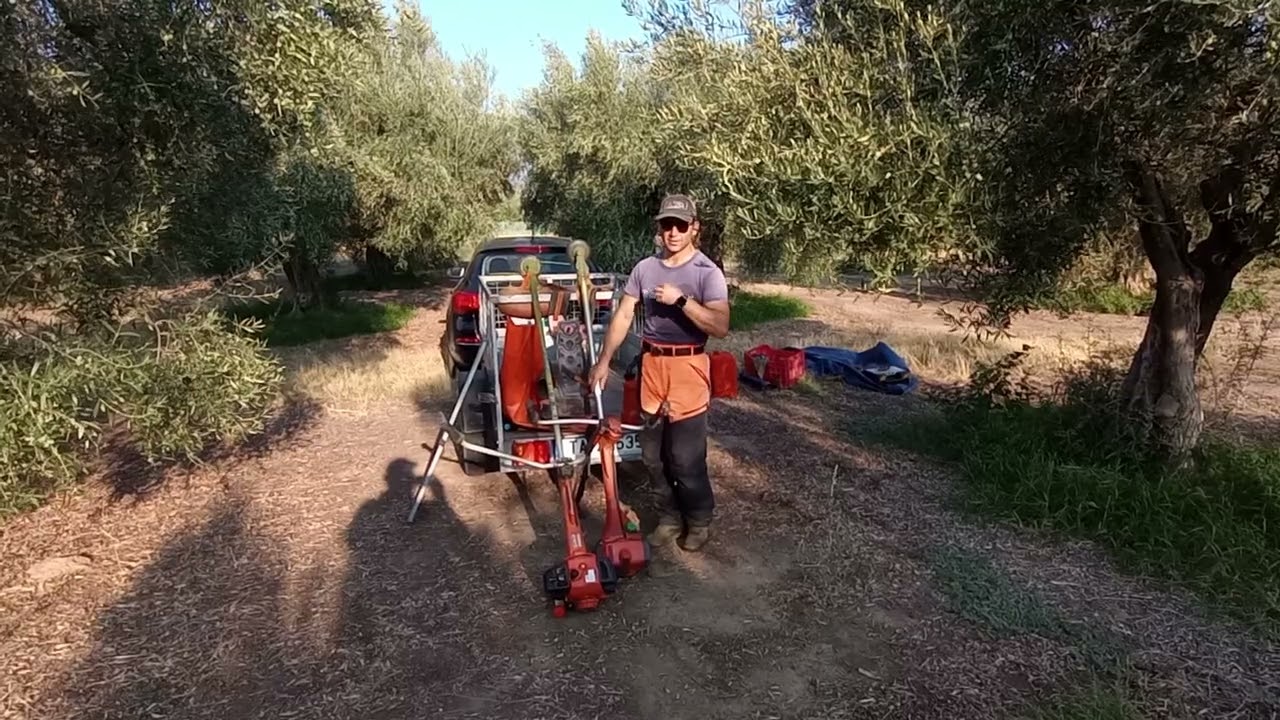 husqvarna 343r vs Echo srm 520 es.