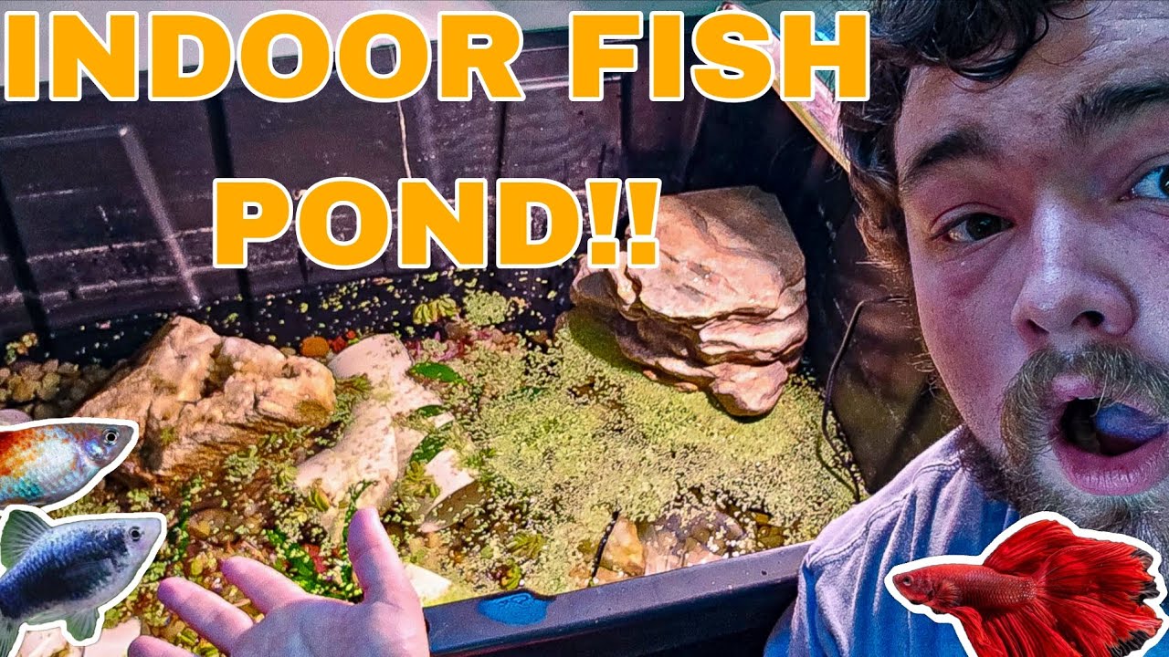 I Built a MINI POND INSIDE!! (NEW Plants and Fish)