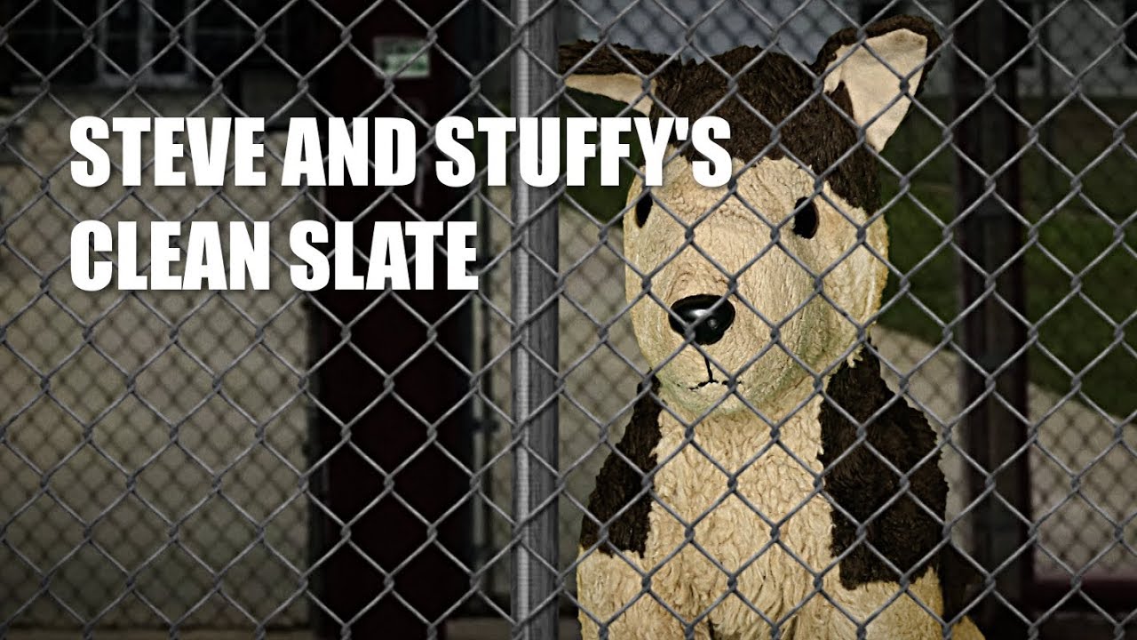 Steve and Stuffy's Clean Slate