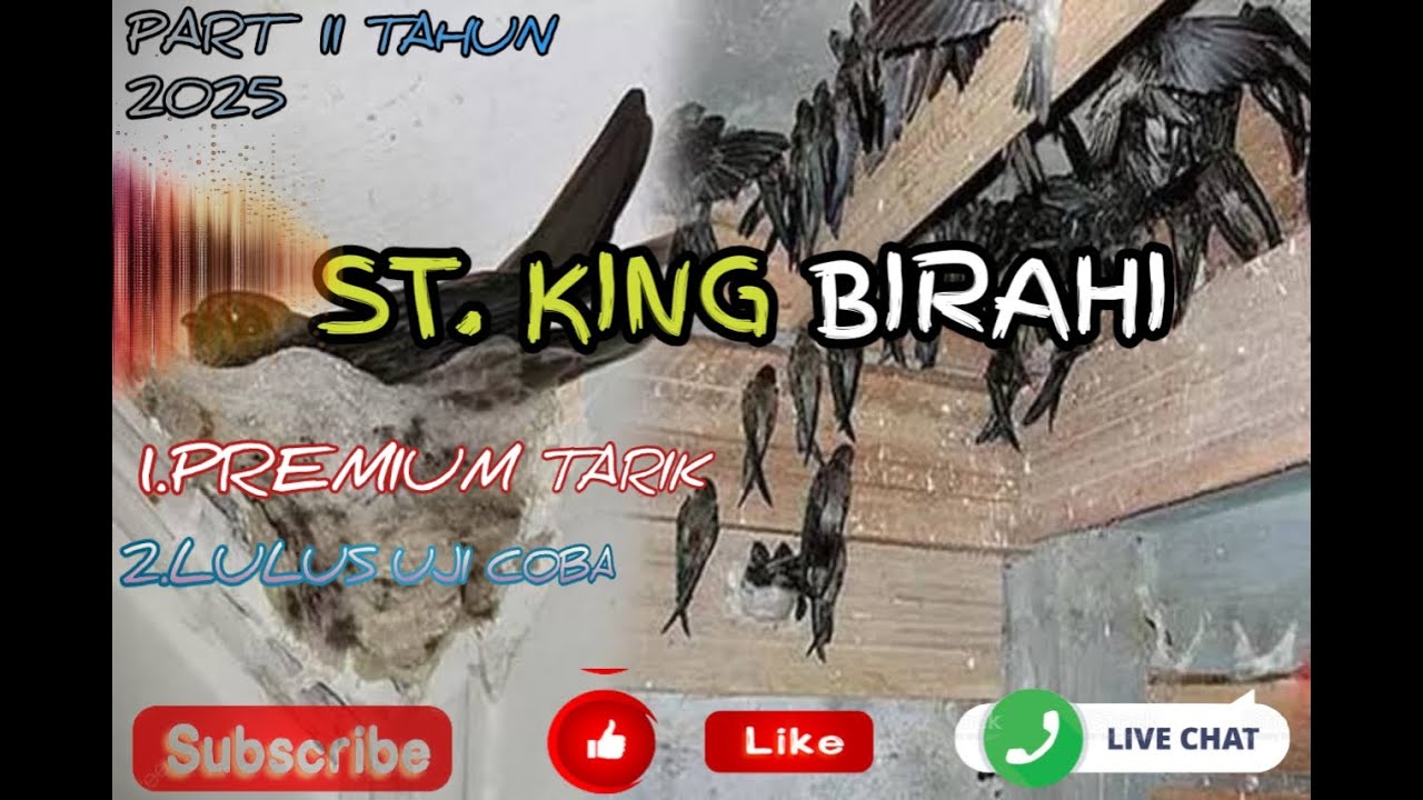 st king birahi mp3 andi sufar