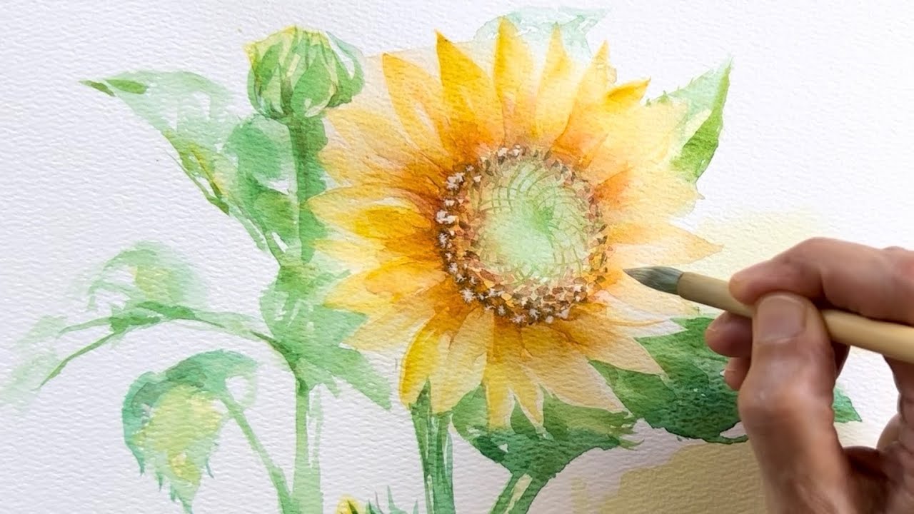 [水彩画]ヒマワリの花を描く/watercolorpainting /制作過程