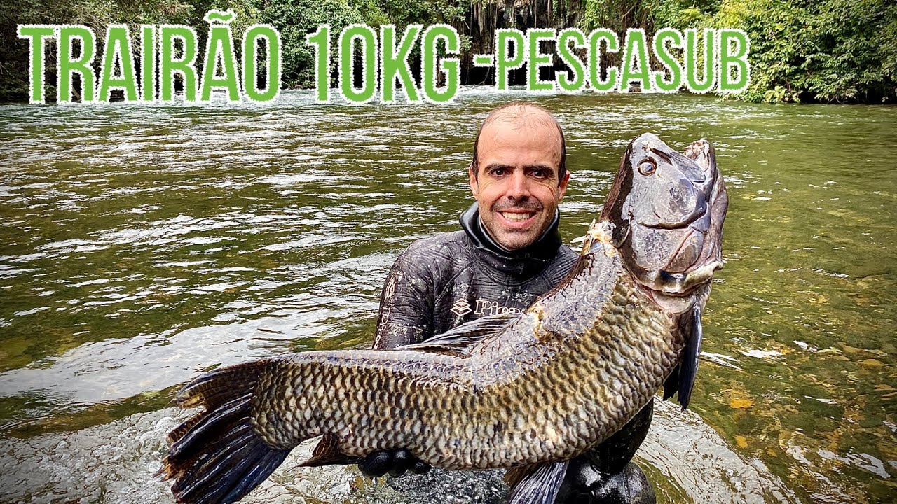Trairão 10kg - pescasub em água doce 2020
