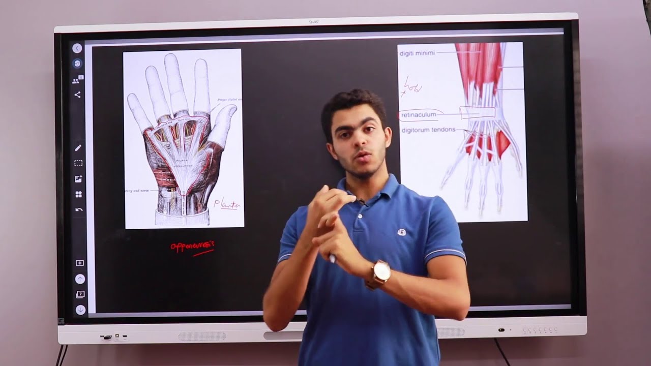 General anatomy / 4- Skin & Fascia