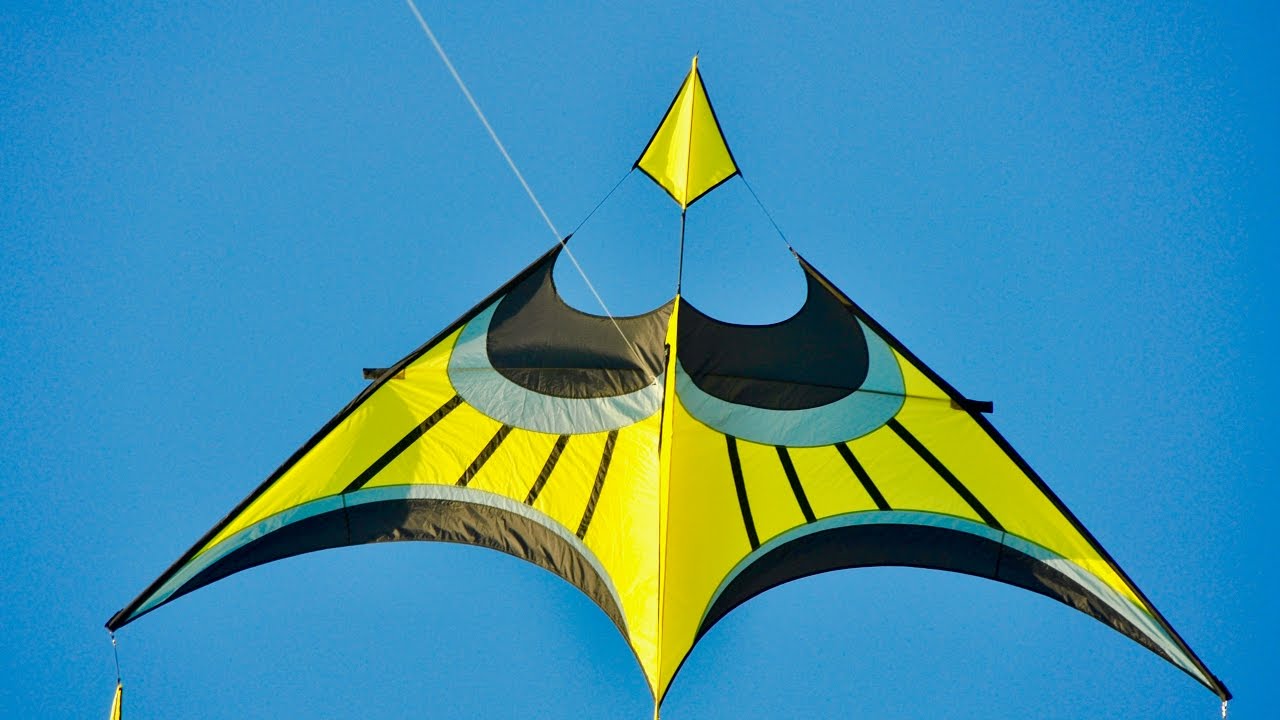 Hoffmann's Canard Delta