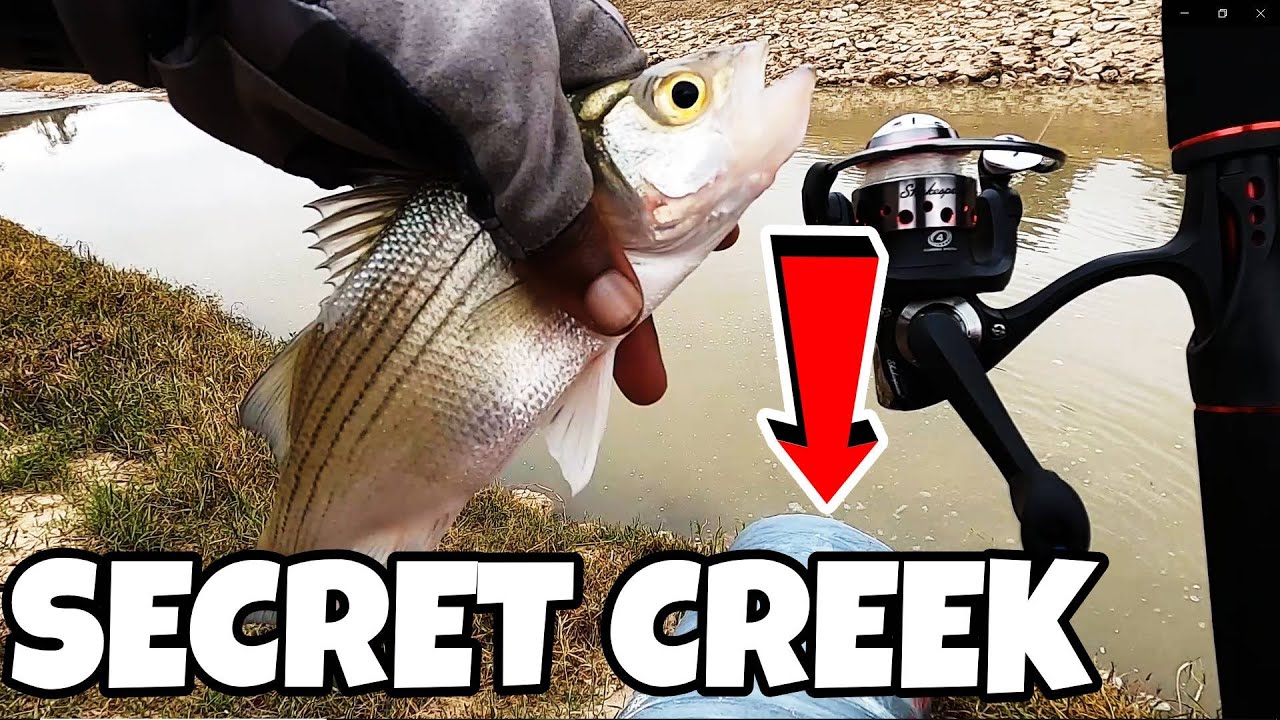 Fishing TINY CREEK for ANYHTING that will BITE by SPILLWAY | Houston Freshwater Fishing