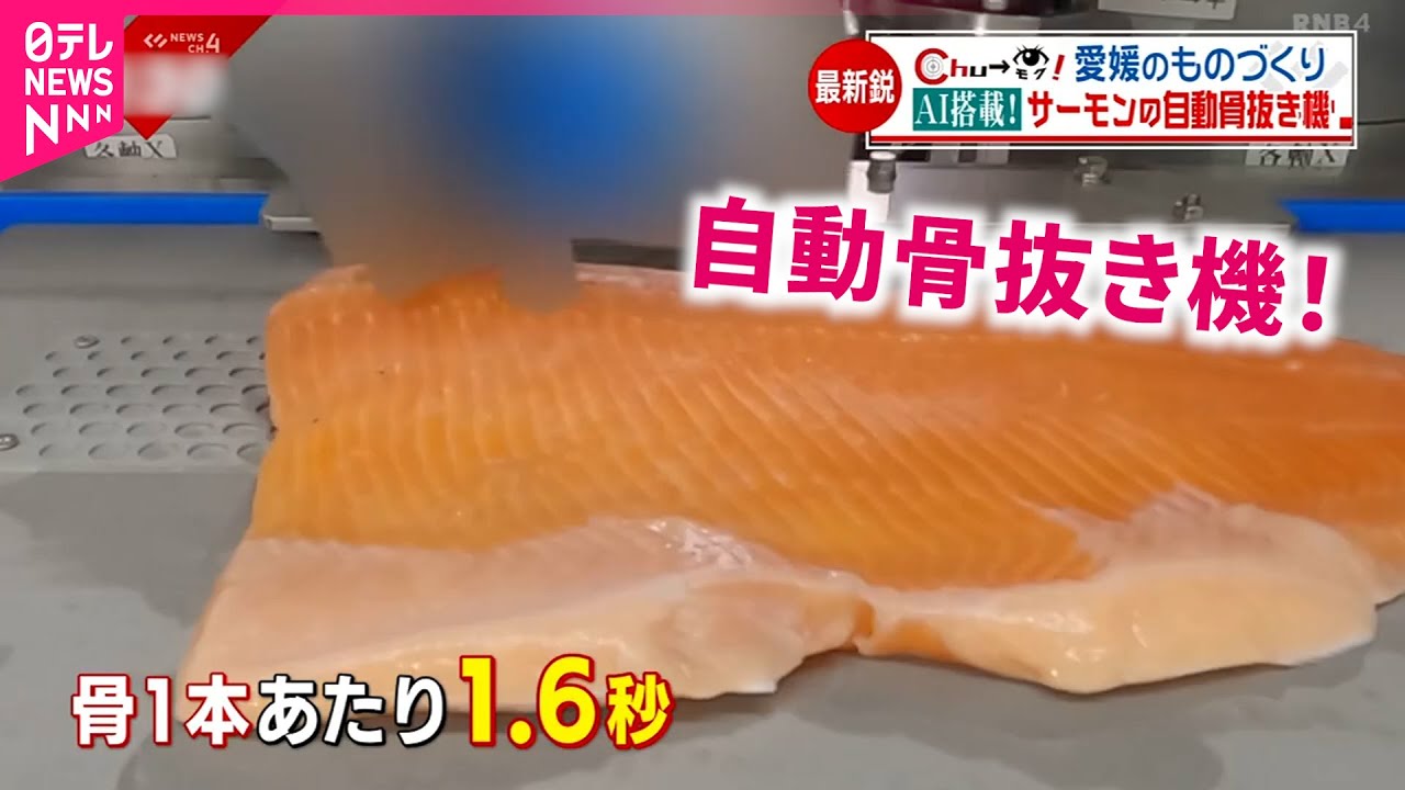 【AI搭載】サーモンの骨を自動で !? 巨大マシン開発の舞台裏と水産加工業の未来　愛媛　NNNセレクション