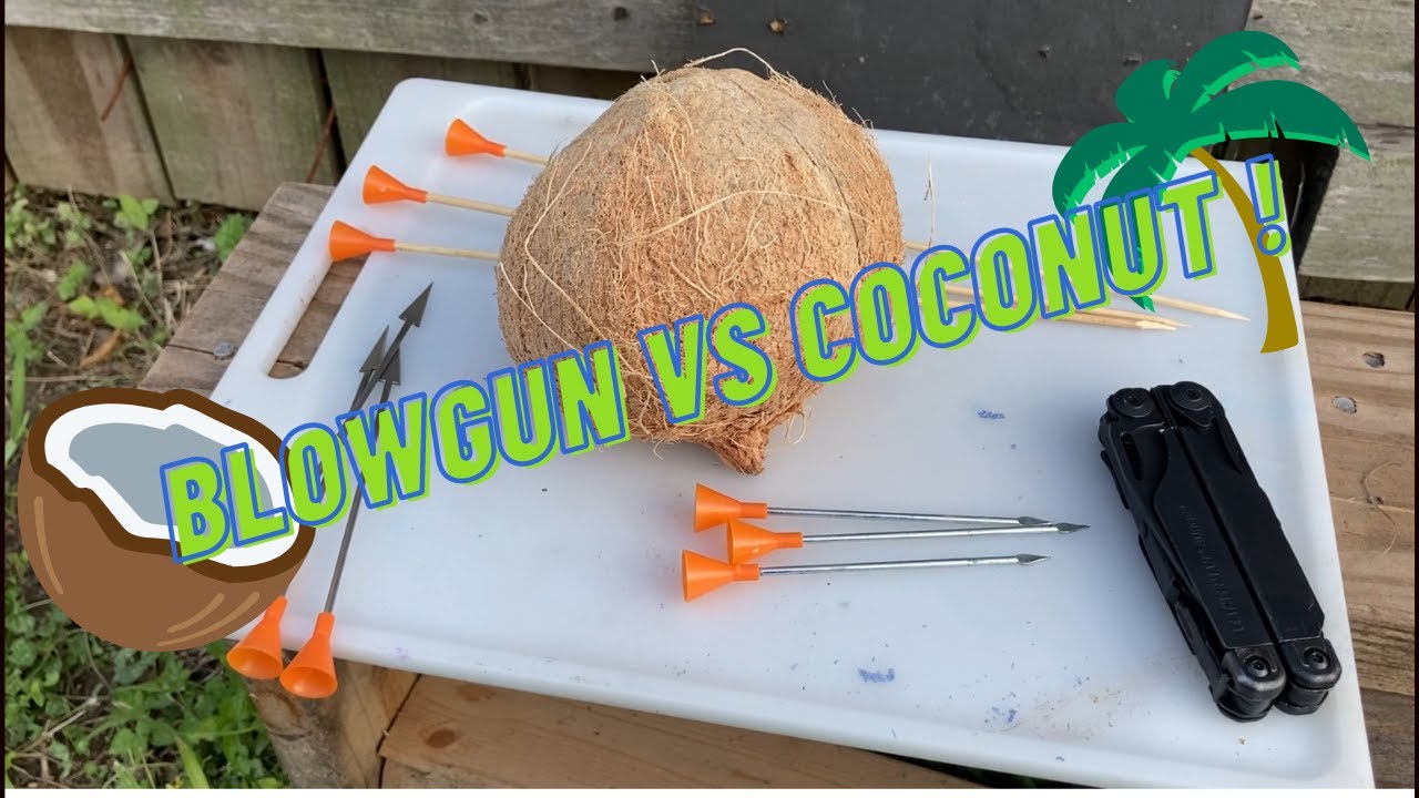 .625 Big Bore Blowgun против Coconut 🥥