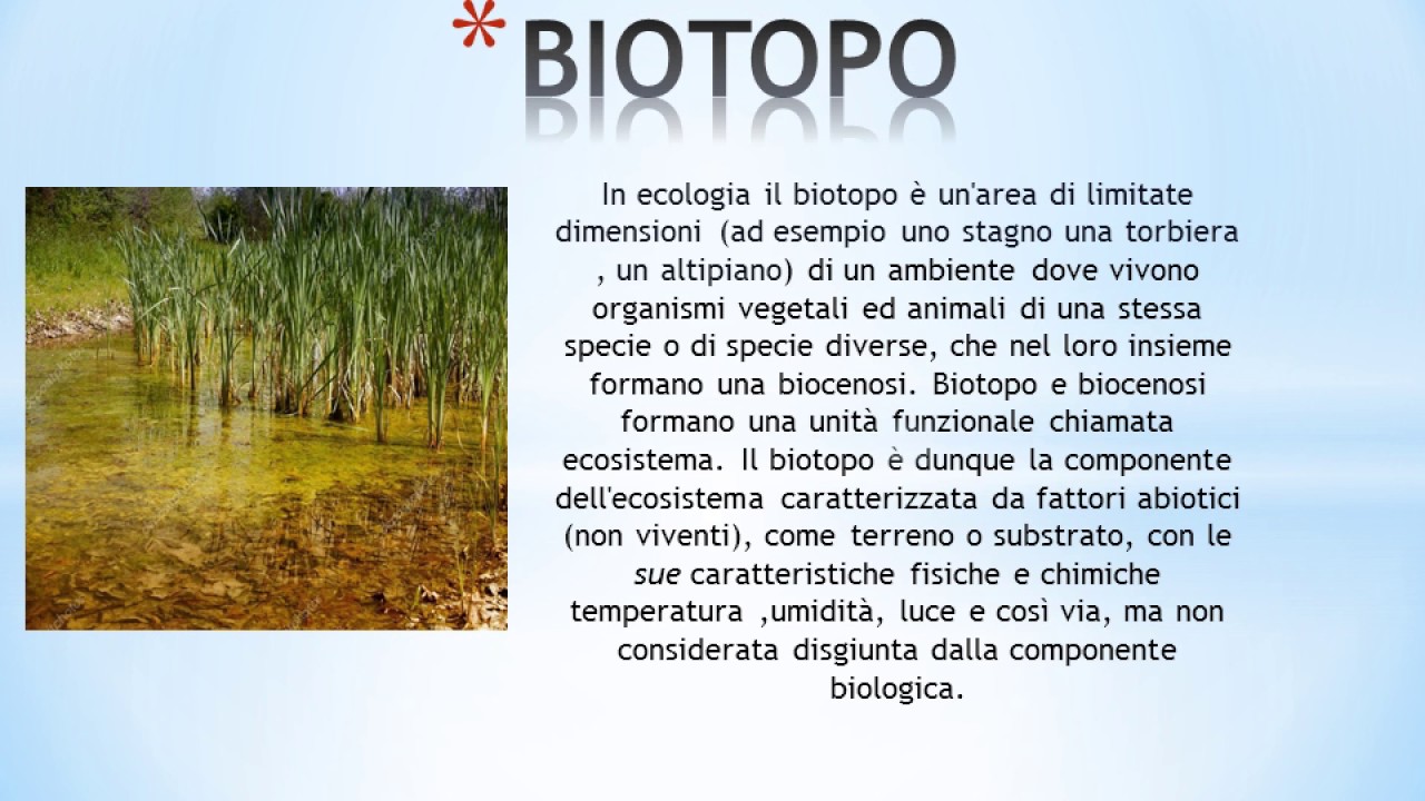 BIOTOPO