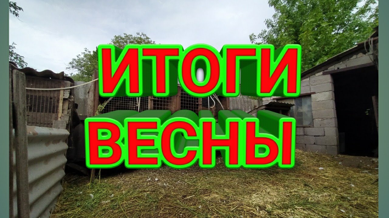 ИТОГИ ВЕСНЫ 2020 / ЖИЗНЬ В ДЕРЕВНЕ!!!