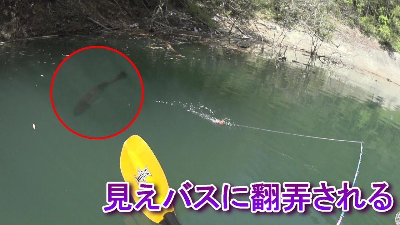 見えバスには【マッドラッド５０】
