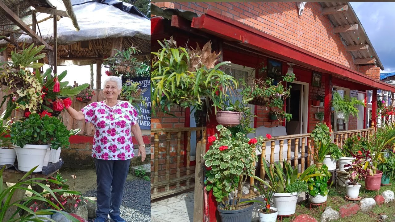 El jardín  de Lili , vivero en su Casa .