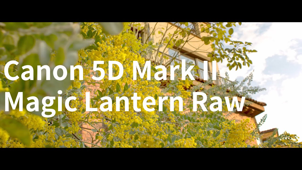 Canon 5D2 Magic Lantern Raw 2.7K, Guangdong China