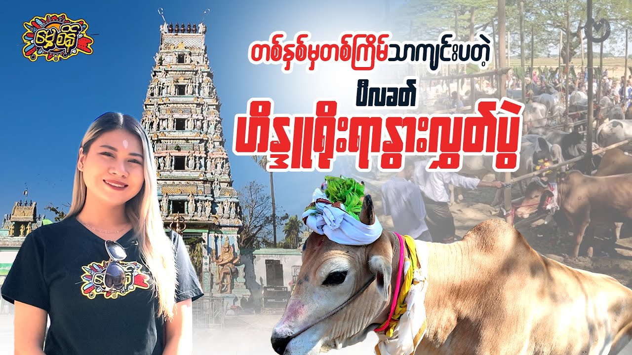 တစ်နှစ်မှတစ်ကြိမ်သာကျင်းပတဲ့ ပီလခတ် ဟိန္ဒူရိုးရာနွားလွှတ်ပွဲ (သို့မဟုတ်) ပို(န်)ဂဲလ်ပွဲတော်